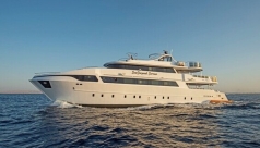 Sea Serpent Serena Dreams