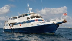 Caribbean Explorer II
