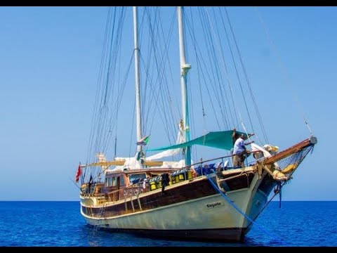 Elegante Liveaboard Dive Video