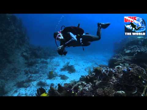 Diving in Fiji Video