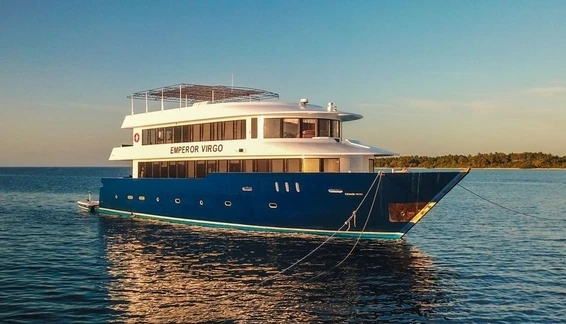 Click to enlarge image