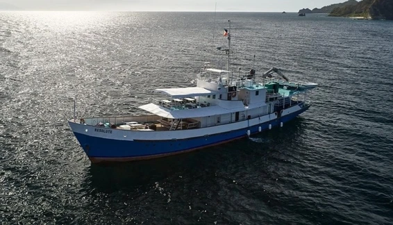 Click to enlarge image