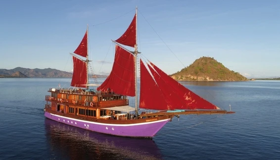 Click to enlarge image