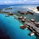 Click to enlarge image