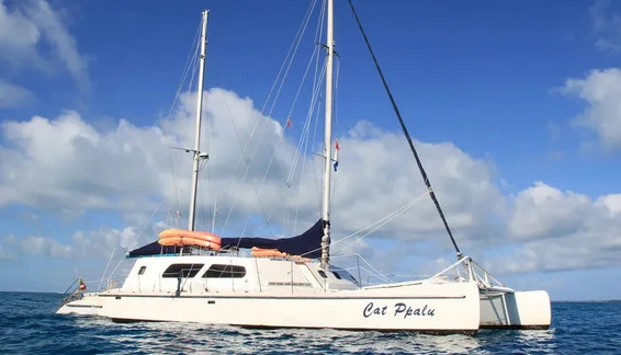 Click to enlarge image