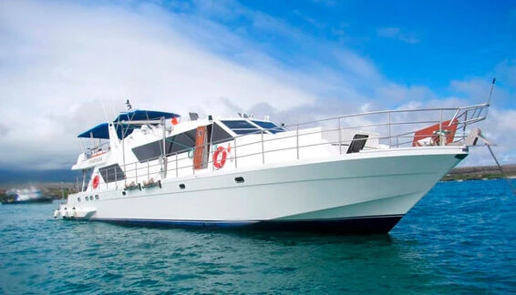 Click to enlarge image