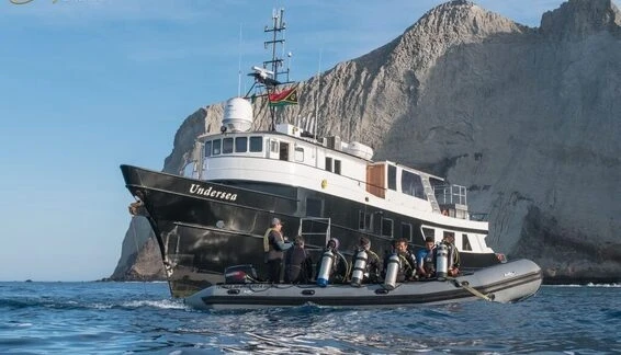 Click to enlarge image