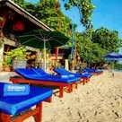 Click to enlarge image