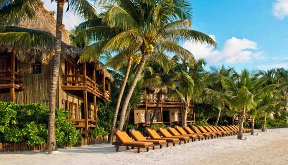 Steve and Becky&rsquo;s