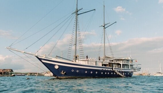 Click to enlarge image