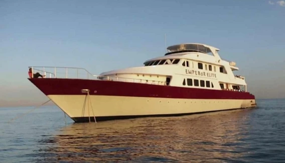 Click to enlarge image