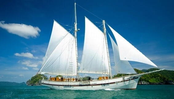 Click to enlarge image