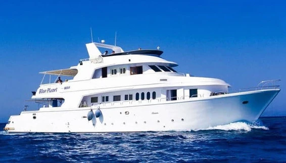 Click to enlarge image