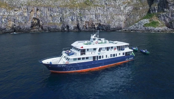 Click to enlarge image