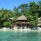 Click to enlarge image