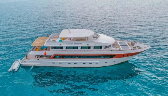 Click to enlarge image