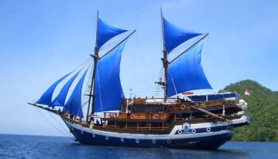 Click to enlarge image