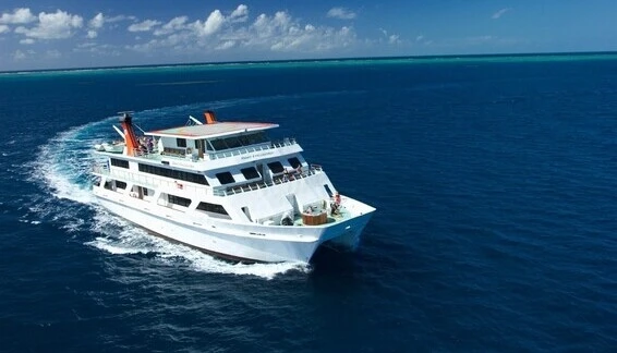 Click to enlarge image