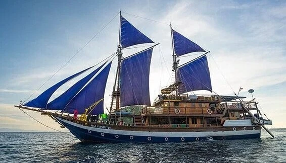 Click to enlarge image