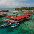 Click to enlarge image