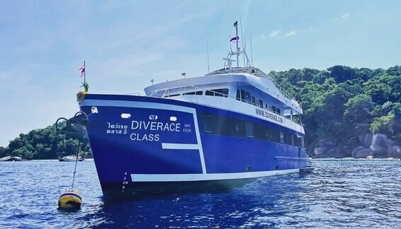 Click to enlarge image