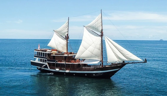 Click to enlarge image