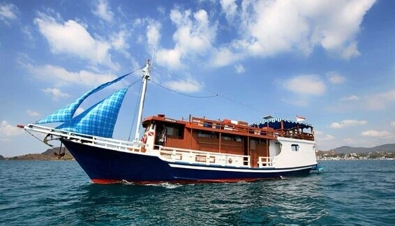 Click to enlarge image