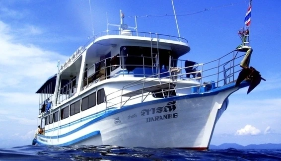 Click to enlarge image