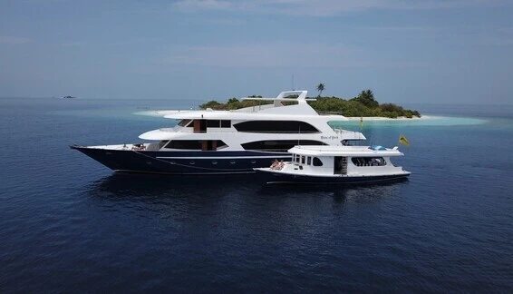 Click to enlarge image