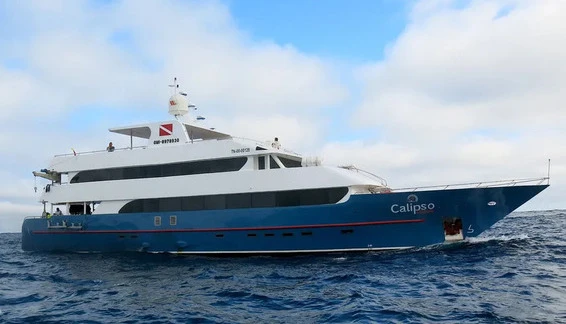 Click to enlarge image