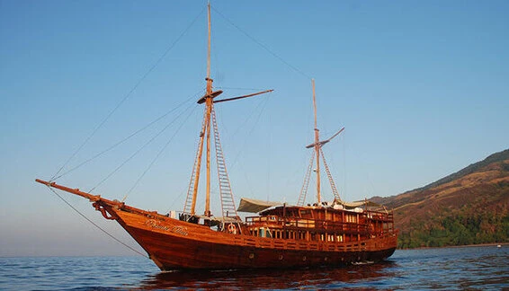 Click to enlarge image