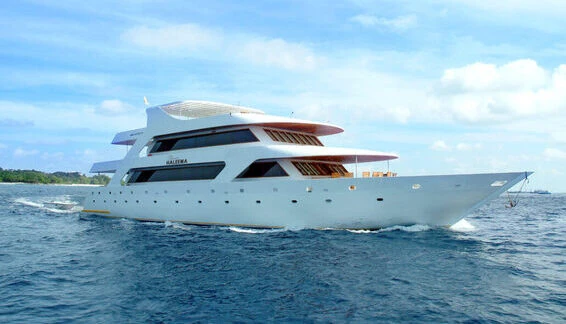 Click to enlarge image