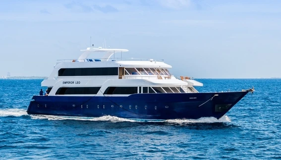 Click to enlarge image