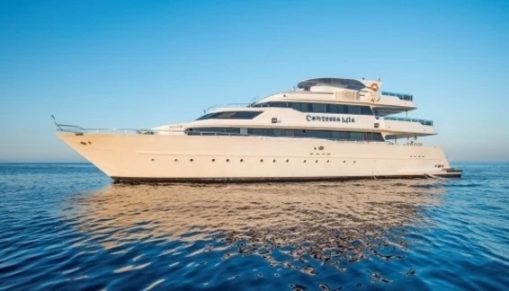 Click to enlarge image