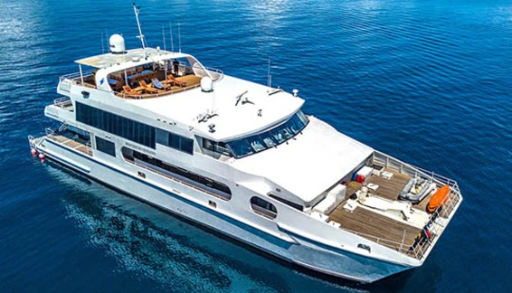 Click to enlarge image