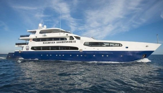 Click to enlarge image