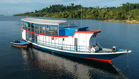 Click to enlarge image