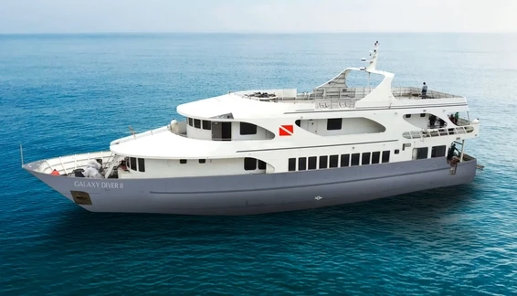 Click to enlarge image