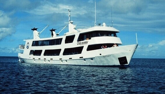 Click to enlarge image