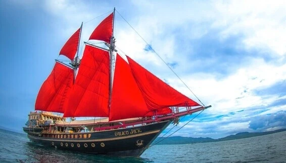 Click to enlarge image