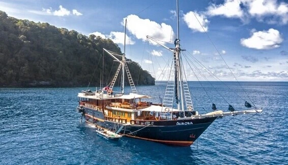 Click to enlarge image