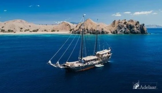 Click to enlarge image