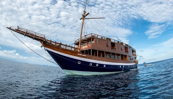 Click to enlarge image