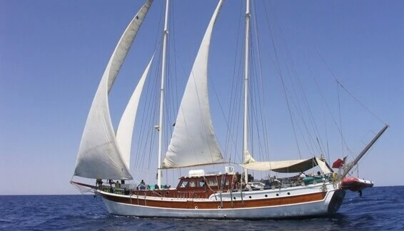 Click to enlarge image