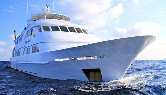 Click to enlarge image