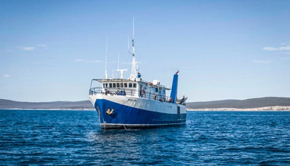 Click to enlarge image