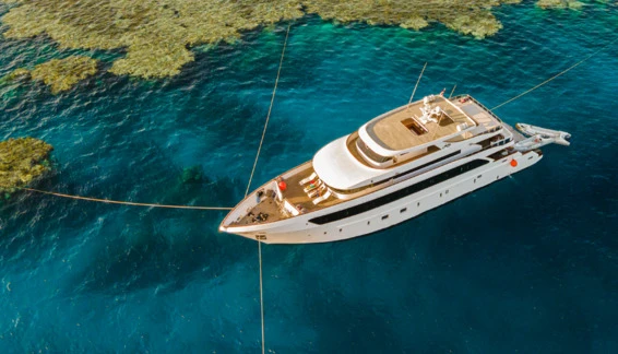 Click to enlarge image