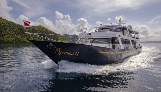 Click to enlarge image