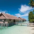 Click to enlarge image