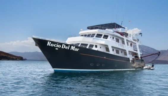 Click to enlarge image